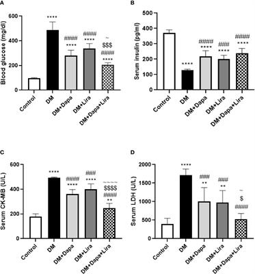 Role of Dapagliflozin and Liraglutide on Diabetes-Induced Cardiomyopathy in Rats: Implication of Oxidative Stress, Inflammation, and Apoptosis